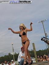 springfling Show Images Page 8